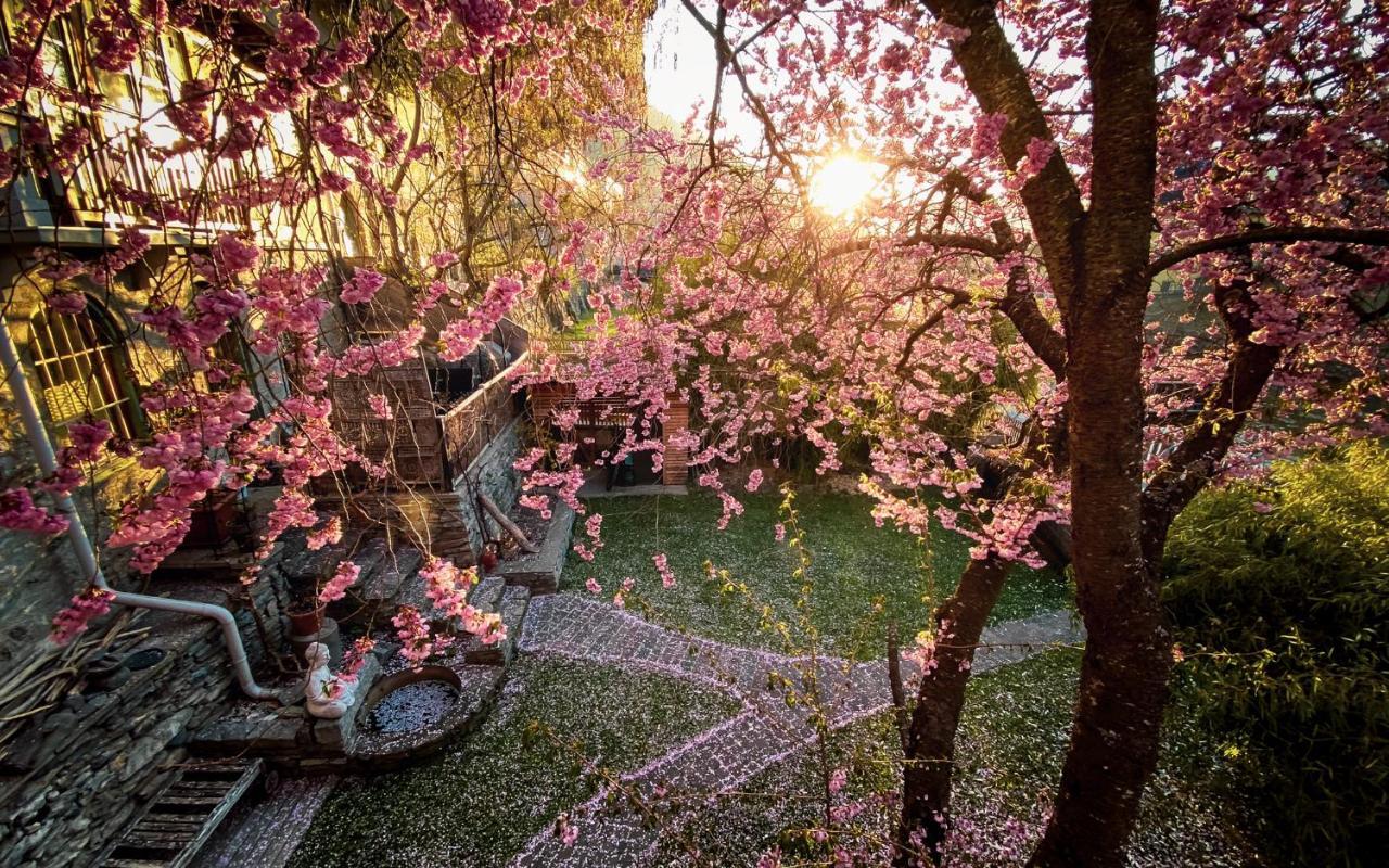 Gartenloft An Der Mur Murau Ngoại thất bức ảnh