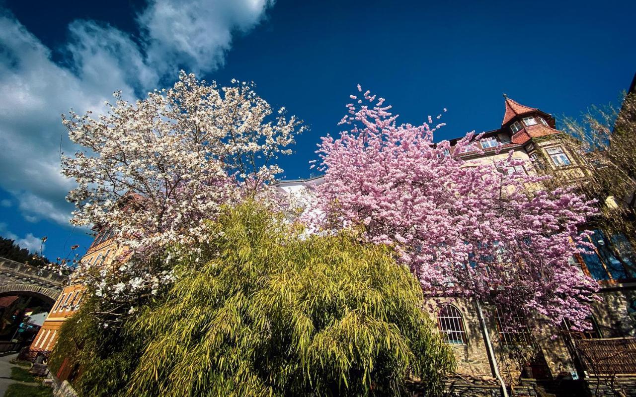Gartenloft An Der Mur Murau Ngoại thất bức ảnh